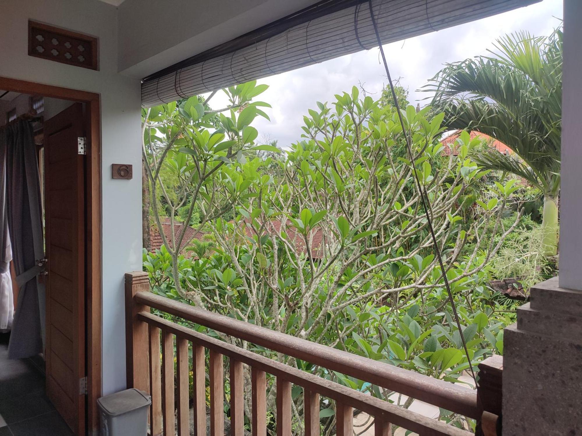 Nyoman Homestay Ubud Экстерьер фото